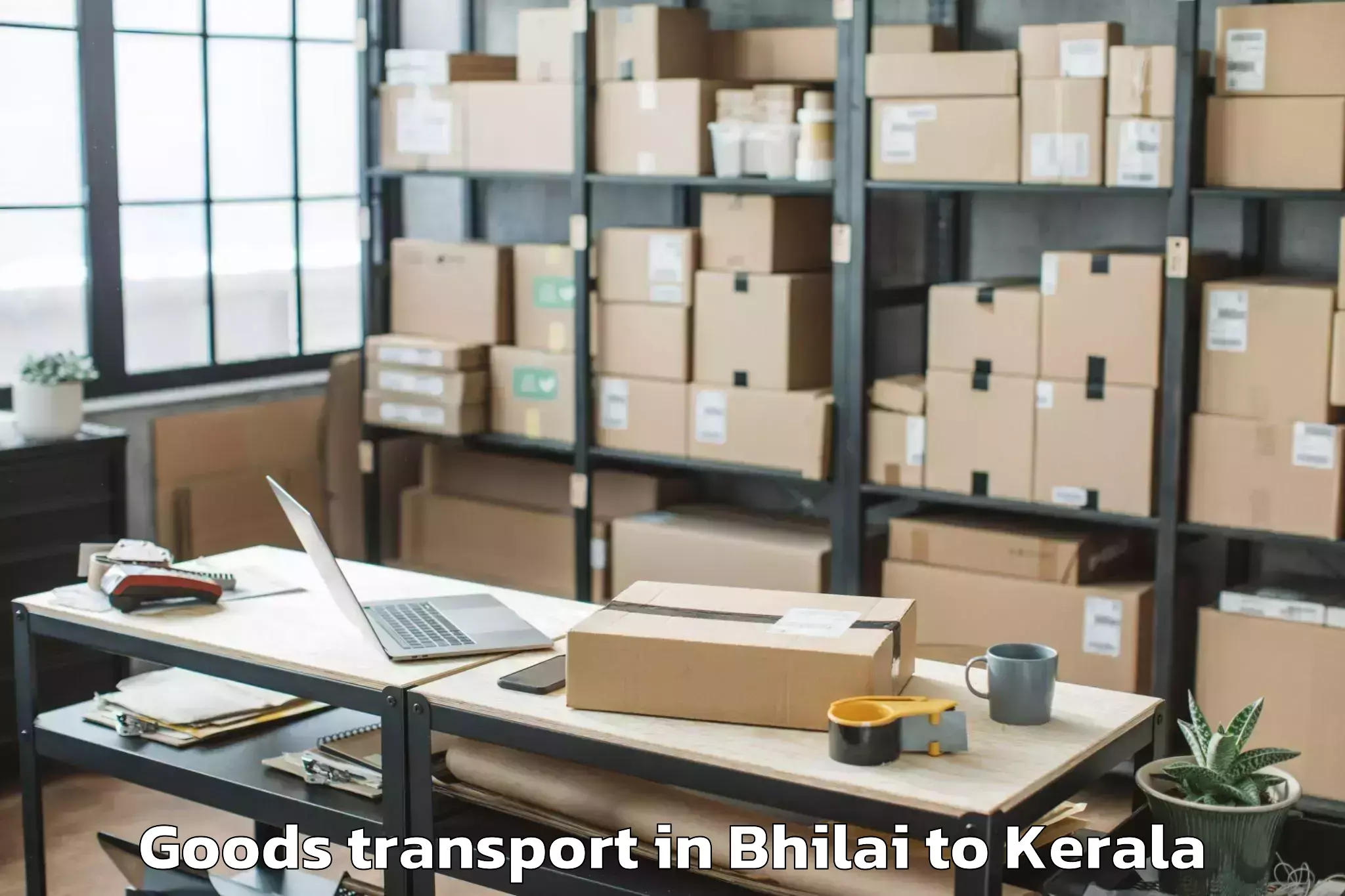 Leading Bhilai to Cherthala Goods Transport Provider